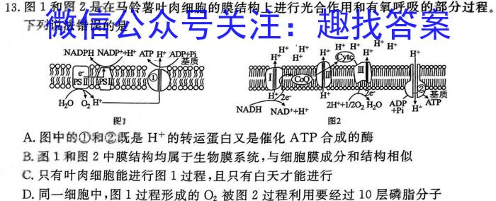 2023-2024学年安徽省阜阳市高二年级教学质量统测(24-568B)生物学试题答案