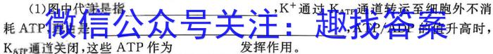 炎德英才大联考 长郡中学2024届高三月考试卷(六)6生物学试题答案