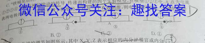 2023-2024学年陕西省八年级期末综合素养评估(24-CZ234b)生物学试题答案