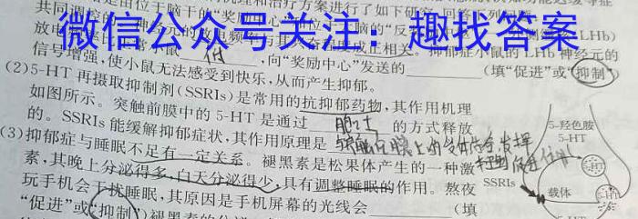 ［甘肃大联考］甘肃省2025届高三年级上学期9月联考生物学试题答案