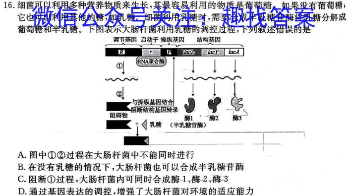 吉林省2024届朝阳区七校九年级适应性练习英语