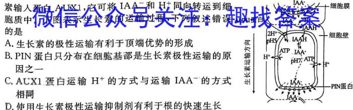 贵州天之王教育 2024年贵州新高考高端精品模拟信息卷(六)6生物学试题答案