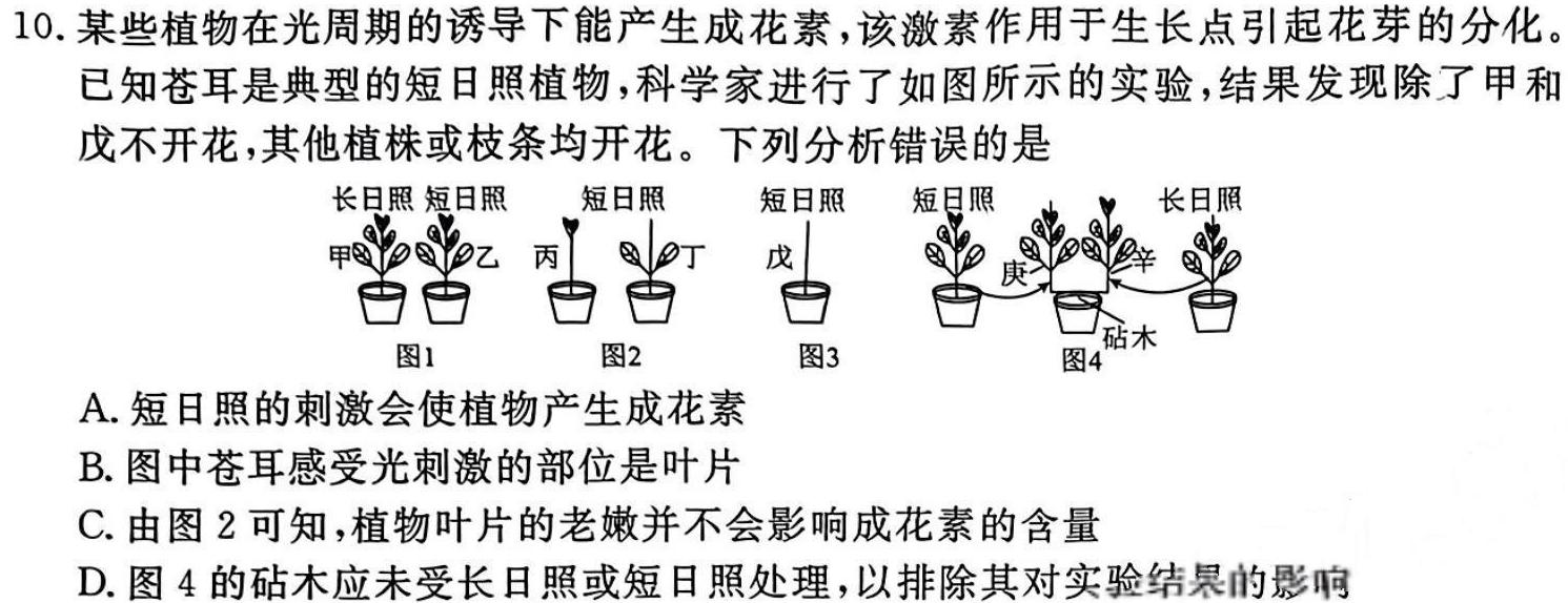 云南省巧家县2024年春季学期高一年级期末统一质量监测(24-590A)试题(数学)