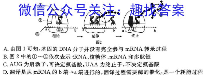 2024年安徽省C20教育联盟中考二模生物学试题答案