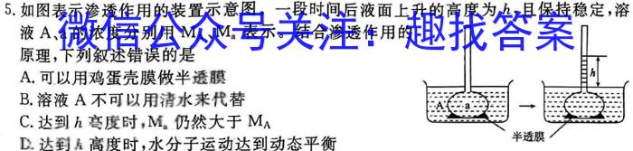 河南省南阳市2024年春期六校高二年级第一次联考数学