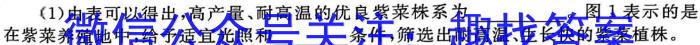 山西省2023-2024学年第二学期七年级期中自主测评数学h