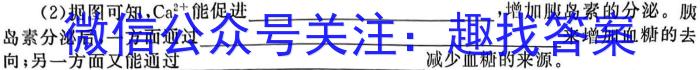 2024普通高等学校招生全国统一考试·模拟调研卷(一生物学试题答案