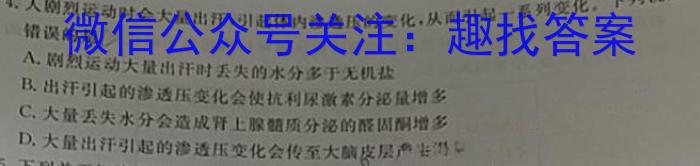 陕西省2023~2024学年度九年级期中教学素养测评(六)