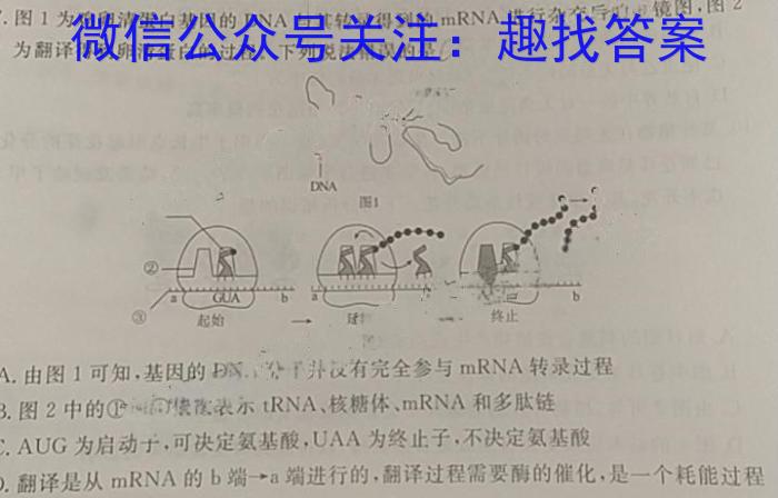 安师联盟·2024年中考摸底试卷(4月)生物