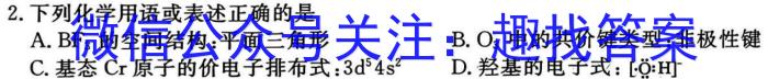 2024年河南省中招备考试卷(八)化学