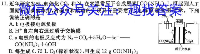 2024年广东高考精典模拟信息卷(八)数学