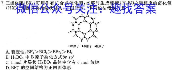 2024年河南省重点中学内部摸底试卷(六)数学