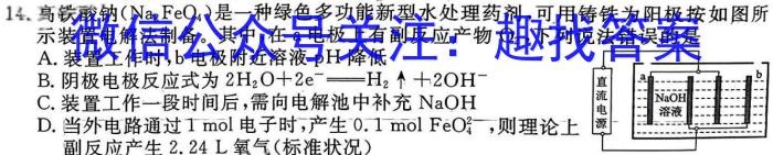 陕西省西安市某校2024-2025学年上学期小升初（新初一）分班考试化学