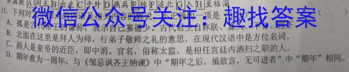 安徽省2023-2024学年度九年级阶段诊断(PGZX F-AH)(五)语文