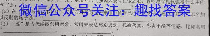 安徽省木牍大联2024年九年级下学期3月考试语文