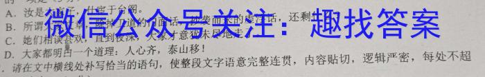 安徽省2024届九年级质量检测试卷（64）语文