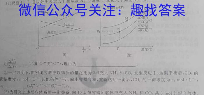 3甘肃省静宁县2024届高三1月份模拟试卷化学试题