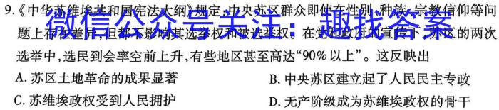 安徽省2024年中考总复习专题训练 R-AH(八)8历史试卷答案