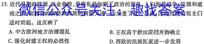 2024届广西三新学术联盟百校联考(5月)历史试卷