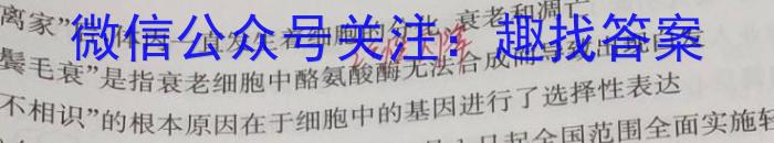 2024年贵州省普通高中学业水平选择性考试冲刺压轴卷(二)数学