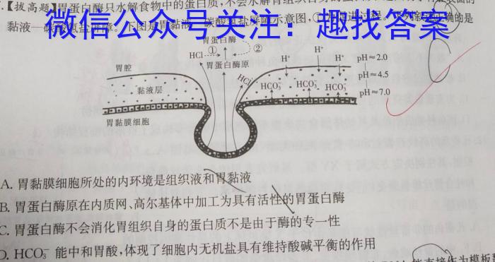 山西省平城区两校2023-2024学年第二学期七年级开学模拟考试英语