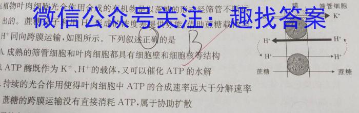 安徽省合肥市普通高中六校联盟2023-2024学年第二学期期末考试（高一）数学