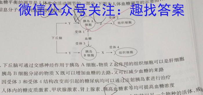 亳州市普通高中2023-2024学年度第一学期高二期末质量检测生物学试题答案