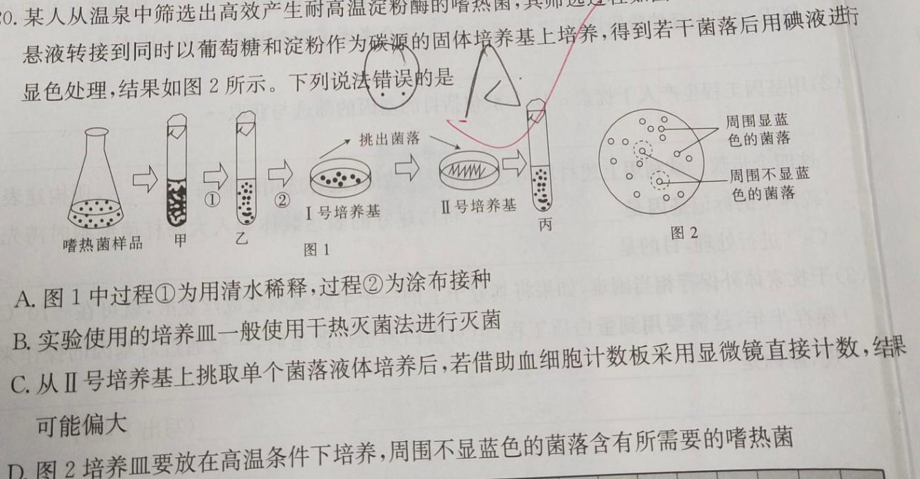 江西省赣州市2024年高三年级摸底考试(2024年3月)生物学