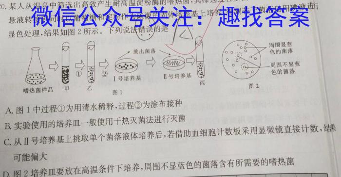 2024届皖豫名校联盟安徽卓越县中联盟高三五月联考生物学试题答案