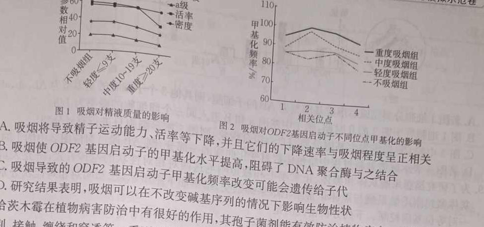 河北省邢台市2023-2024学年高三(上)期末测试(24-233C)生物