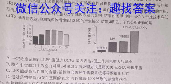 ［大连一模］2024年大连市高三第一次模拟考试生物学试题答案