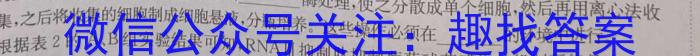 2024年银川一中、昆明一中高三联合考试二模(5.10)数学