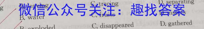 安徽省利辛县2023-2024学年第二学期八年级开学考试英语