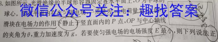 安徽省2024届下学期九年级开学考试（2.28）物理`