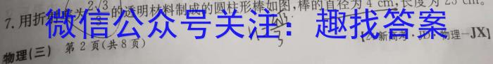 江西省2024年中考总复习专题训练 JX(二)2物理`