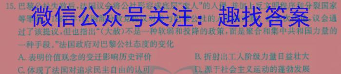 安徽省利辛县2023-2024年学度九年级下学期模拟考试历史试卷答案