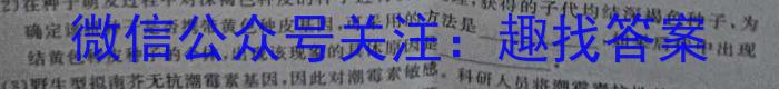 2023-2024学年湖南省高二年级期末考试(正方形包菱形)生物学试题答案