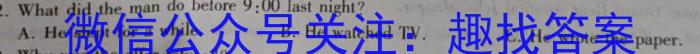 安徽省无为市2024届九年级第一次模拟考试英语