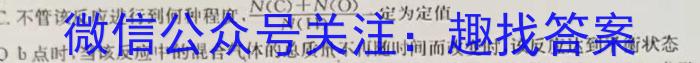 q甘肃省2024年九年级中考模拟试卷(5月)化学