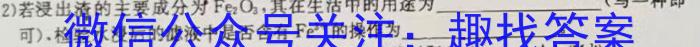 安师联盟·安徽省2024年中考仿真极品试卷（二）数学