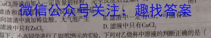 q江西省九江市都昌县2023-2024学年度八年级下学期第二次阶段性学情评估化学