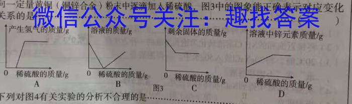 q江西省2023-2024学年七年级第二学期第二次素养检测化学