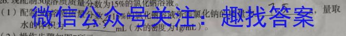 青桐鸣2024年普通高等学校招生全国统一考试 青桐鸣押题卷二化学