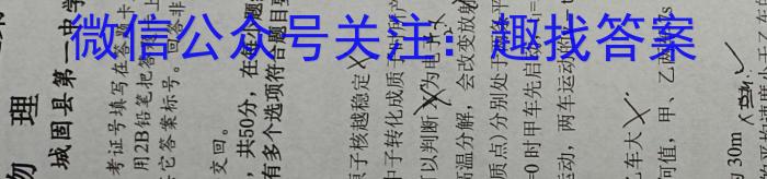 安徽省2024届下学期九年级开学考试（2.27）物理`