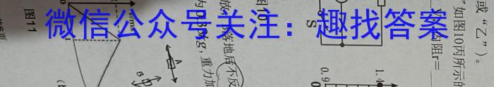 2024届陕西省九年级教学素养摸底测评(5L-SX)物理