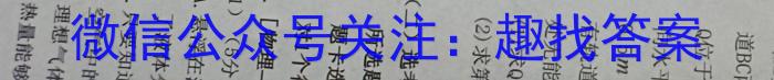 2024年宣城市三县九年级联盟素质检测卷物理试卷答案