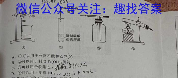 q安徽省临泉2024届九年级1月期末考试化学