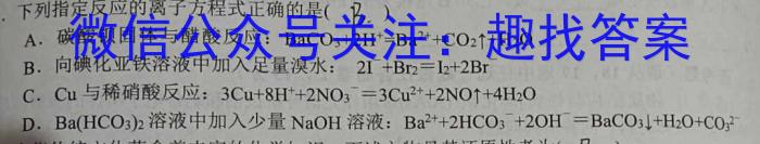 2024届高三TOP二十名校冲刺一数学