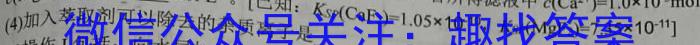 江西省上饶市万年县2023-2024学年度八年级第一学期期末教学质量测评数学