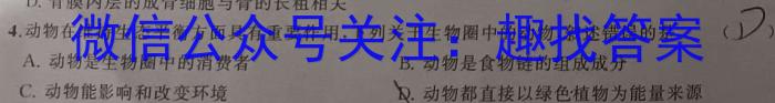 2024年普通高等学校招生全国统一考试冲刺金卷(六)6数学